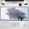 Computer Peripherals