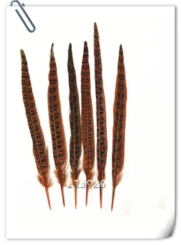 

free shipping 100pcs/lot 30-35cm natural pheasant feathers real ringneck pheasant tail feather orange pheasant feather plumes