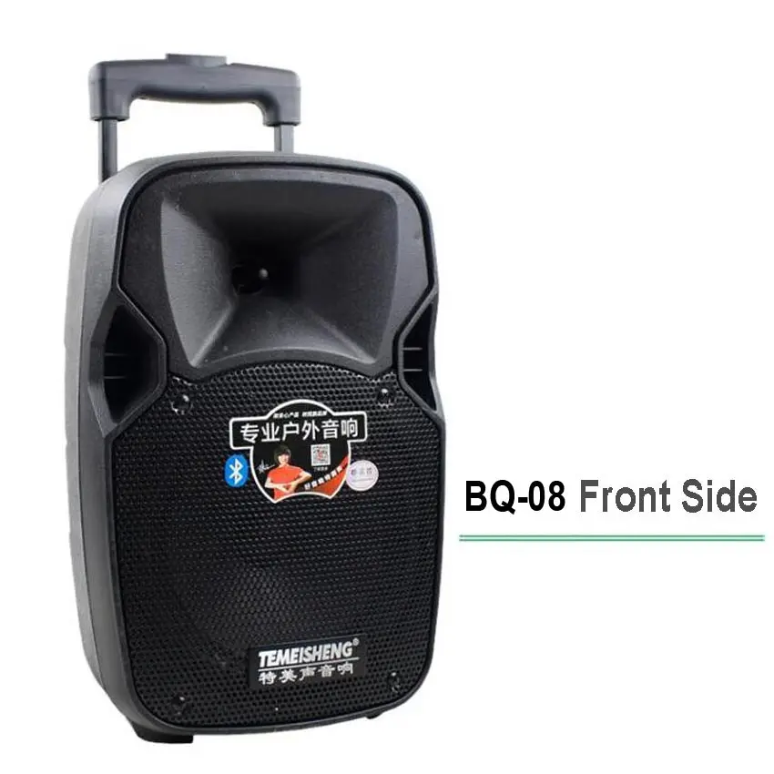 30W High Power Loudspeaker Wireless Microphone