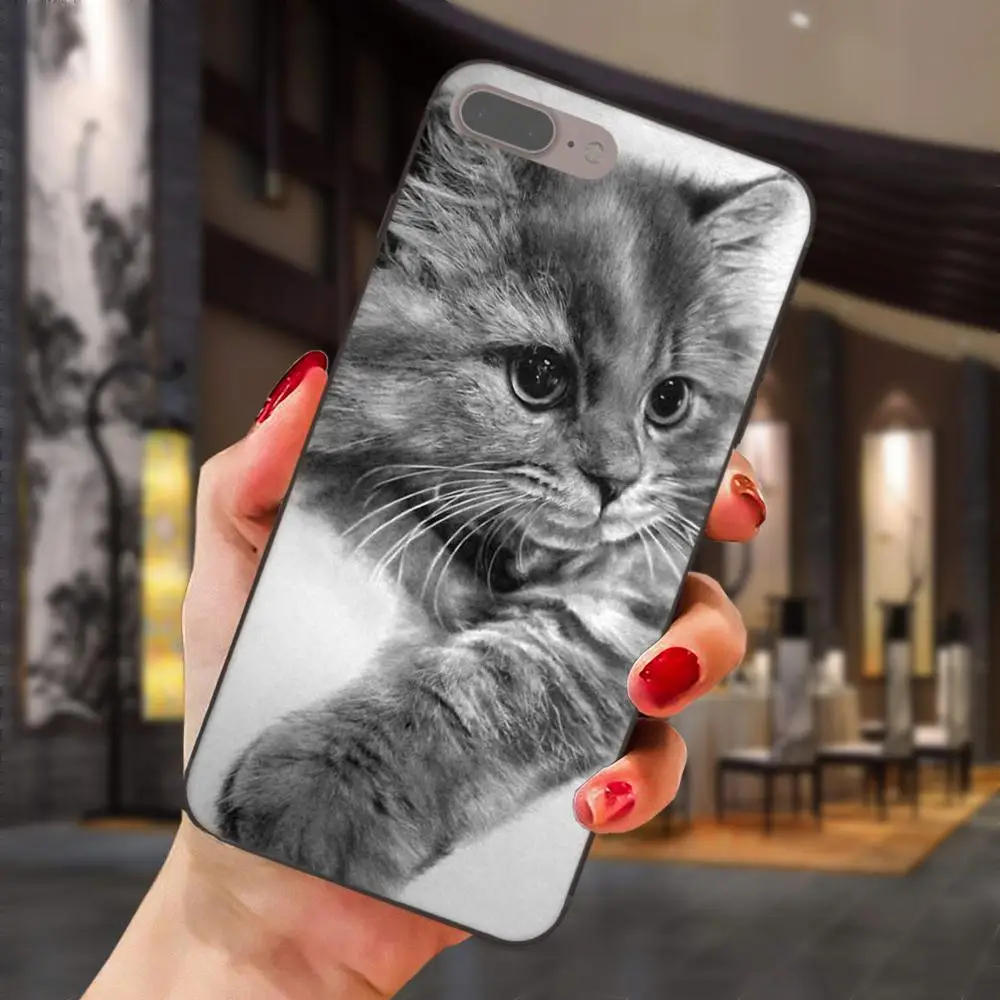 Серая кошка с Zenit камерой для Huawei Honor 5A 6A 6C 7A 7C 7X 8A 8C 8X 9 10 P8 P9 P10 P20 P30 Mini Lite Plus мягкая
