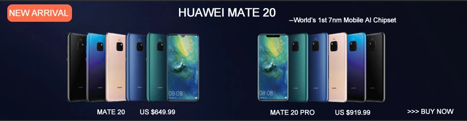 mate 20