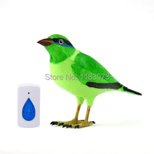 Brand New Digital Bird Doorbell Home Wireless Remote