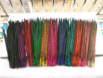 

free delivery! Featured 200pcs18-20 inches / 45-50 cm high quality pheasant feathers, decorative accessories DIY