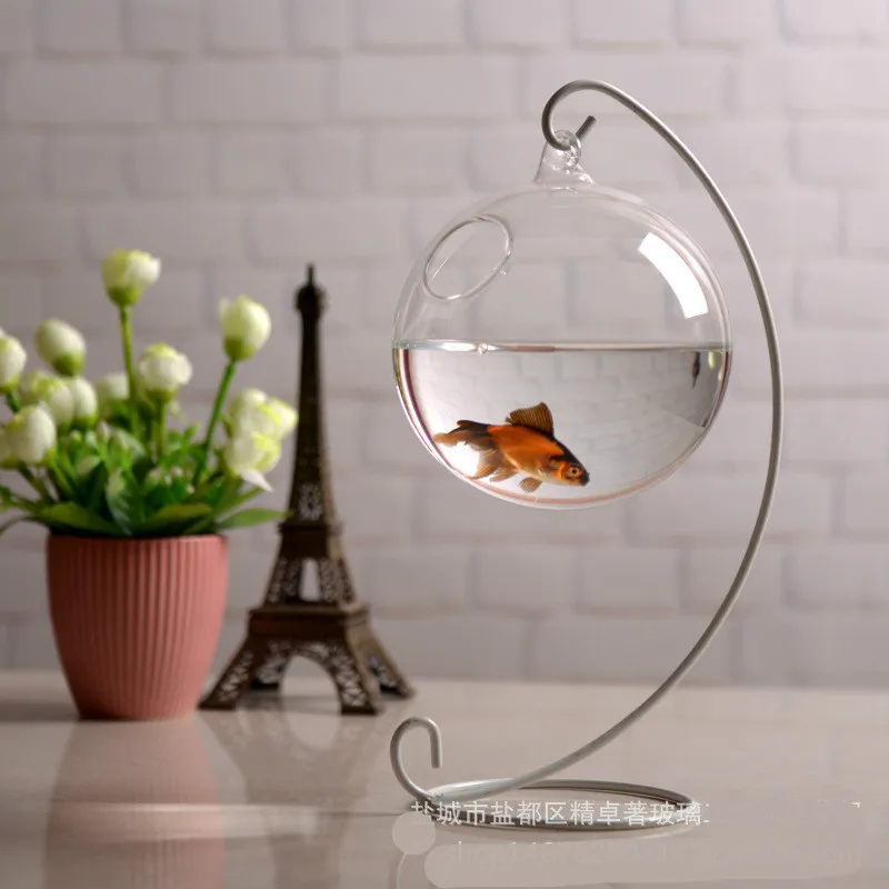 Mini Fish Tank Decoration Micro Landscape Hydroponic Ecological