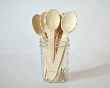 

100 x Wooden Disposable Flatware | Wood Eco-friendly Spoon | Picnic Party Catering Event Party Supplies