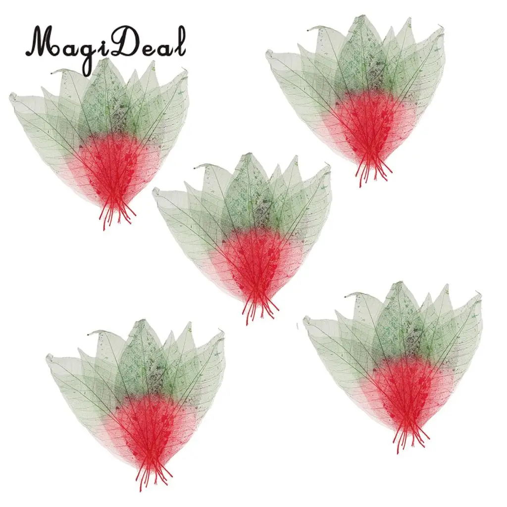 MagiDeal Beautiful 50Pcs Natural Magnolia Skeleton Leaf Leaves DIY Crafts for Scrapbooking Flower Making Lampshades Wall Decor