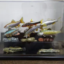 Рисунок игрушка в подарок трехмерной искусственные модели животных-пресноводных рыб серии 8 шт./компл
