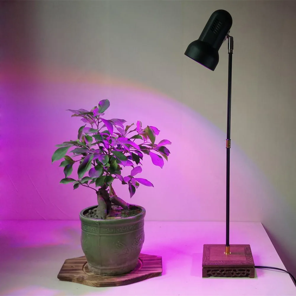 download indoor plant lights