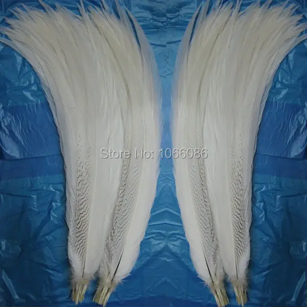

EMS Free Shipping 100pcs Silver pheasant Feathers 60-65 24-26inch white pheasant silver Feathers DIY Feathers Cloth accessory