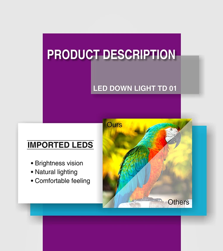 LED Down Light_TD-01_04