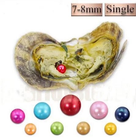 

20pcs Seawater Oysters with 7-8MM Round Akoya Pearls Individually Wrapped Akoya Oysters Pearls Jewelry Mixed 27 Colors ABH761