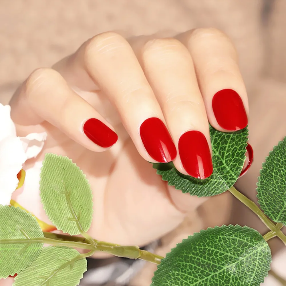 9807704485_1765931279