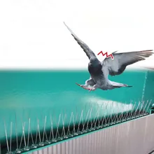2.5M Plastic Bird and Pigeon Spikes Anti Bird Anti Pigeon Spike for Get Rid of Pigeons and Scare Birds Pest Control