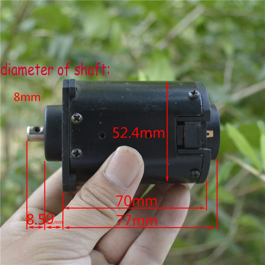 DC24V-220V 2700RPM 220 Micro Motor Carbon Brush Ball Bearing 12-pole Rotors Mute Experimental Generator Massage Chair Motor DIY