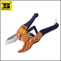 downloadedPhotos (2)