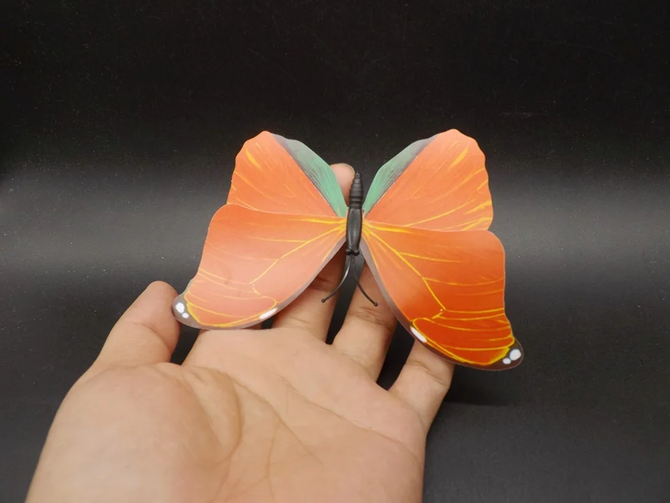 I226-Butterfly (3)