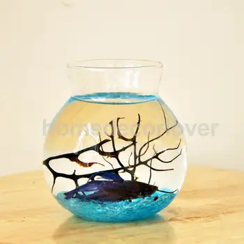 

Clear Glass Round Flower Planter Vase Terrarium Container Fish Tank Table Decor