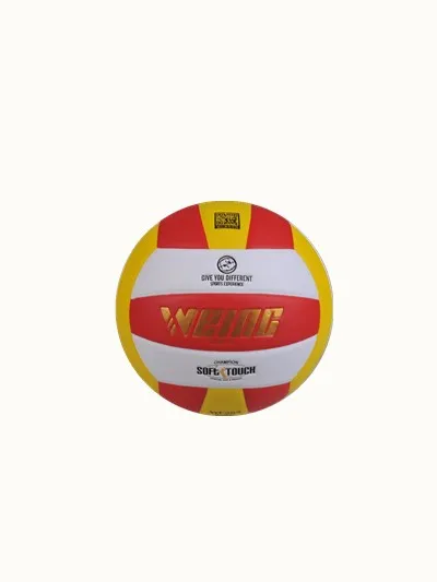 Game volleyball