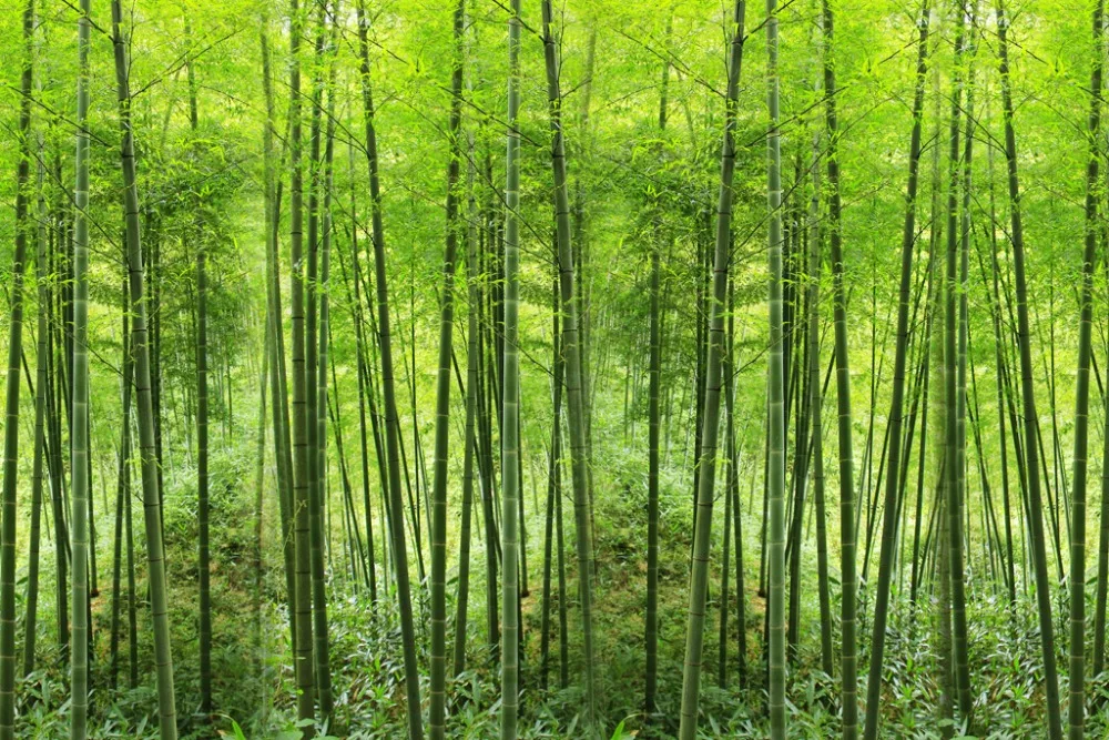 Фото Bamboo Шторы современный полиэстер шторы 3d гостиной Спальня Шторы Декор окна Шторы