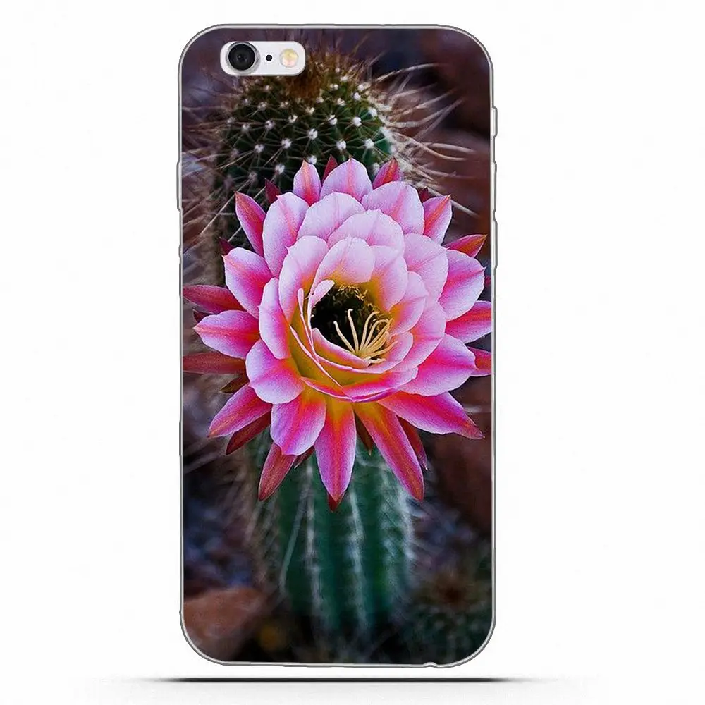Чехлы Wexoeq для мобильных телефонов LG G2 G3 mini spirit G4 G5 G6 K4 K7 K8 K10 2017 V10 V20 V30 Love Of A Flower