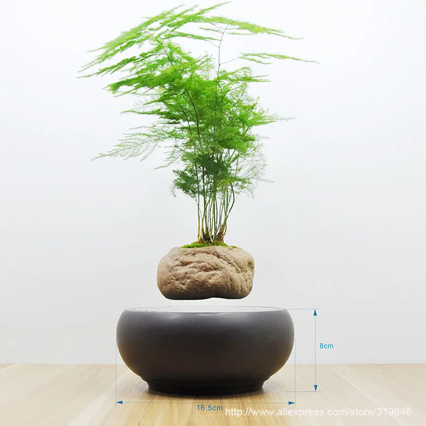 2016 japan high tech products levitating air bonsai floating