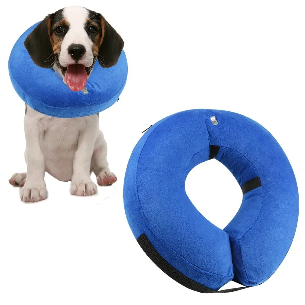 Pet Recovery E-Collar  (7)