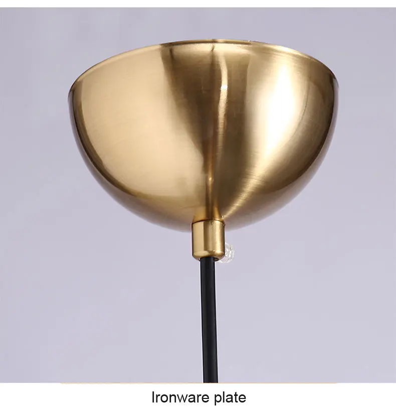 pendant lamp (17)