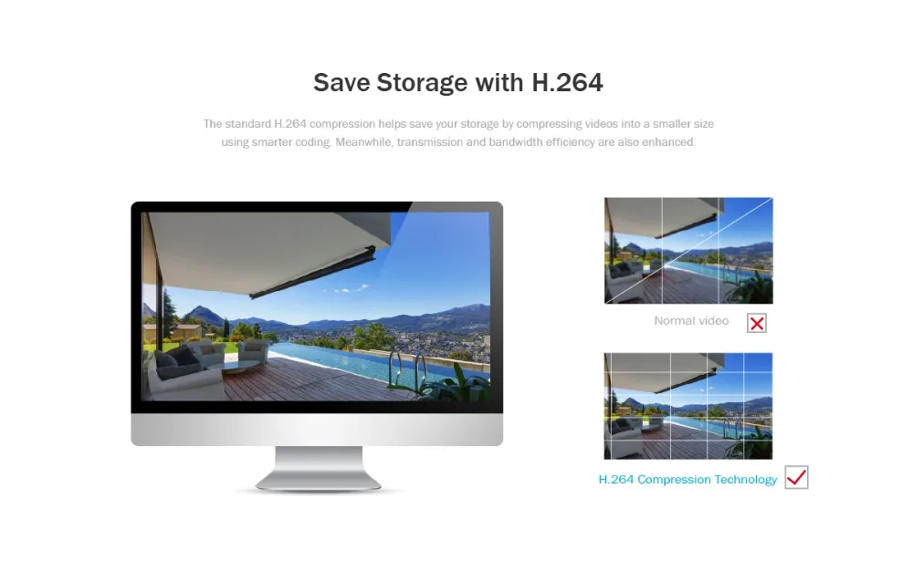 N441L-I41V-01_12