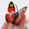 12 PCS House Decoration Stereo Butterflies Refrigerator Stickers  Removable 3D Home Decor Wall Stickers ► Photo 3/6