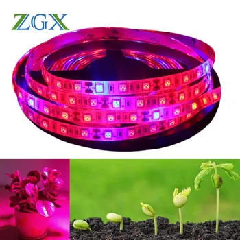 

LED Plant Grow Light lamp 5050 LED Strip tape DC12V Red:Blue 5:1 Aquarium Greenhouse Hydroponic Plant Growing 5m/lot 60leds/m