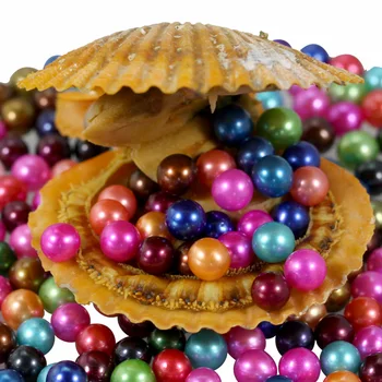 

Perfectly Round Pearls In scallop Oyster Shell Materials For Dyeing Jewelry As Mystery Festival Gift With Vacuum Package RR014