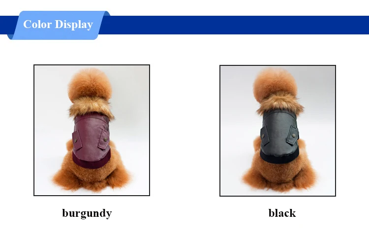 4408839845_1719217545