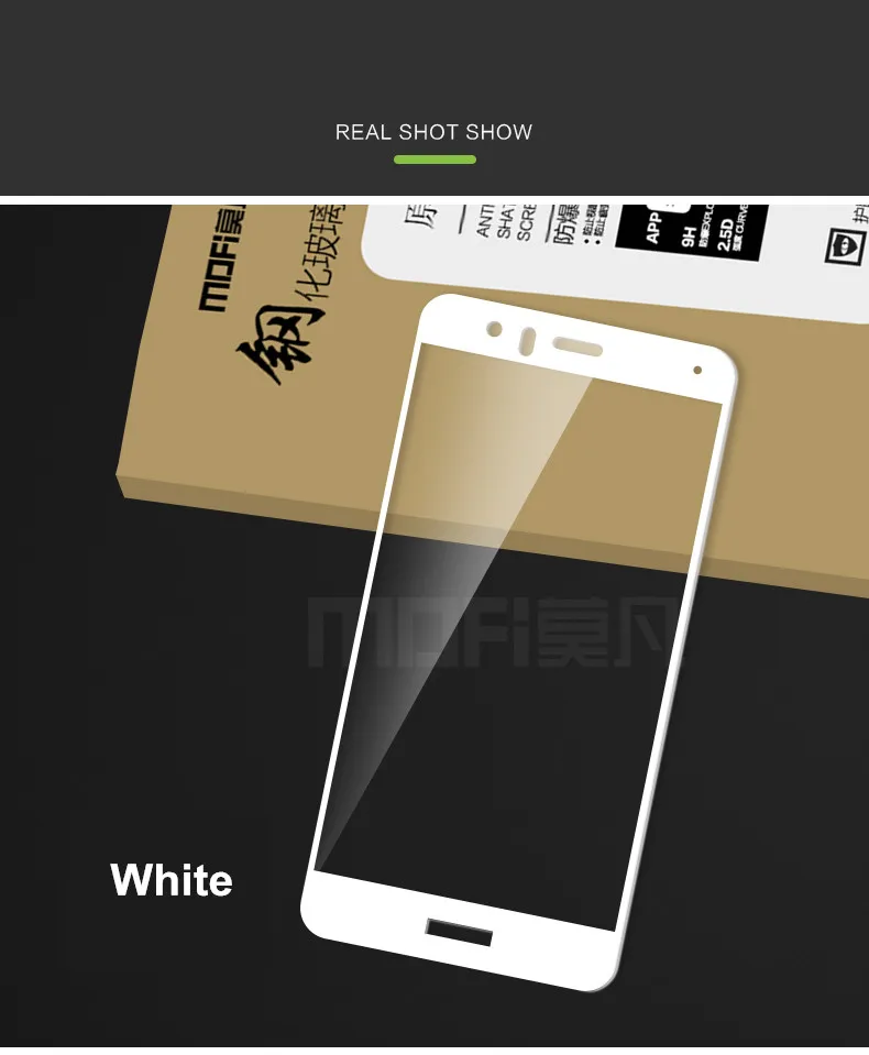 bP10lite_01