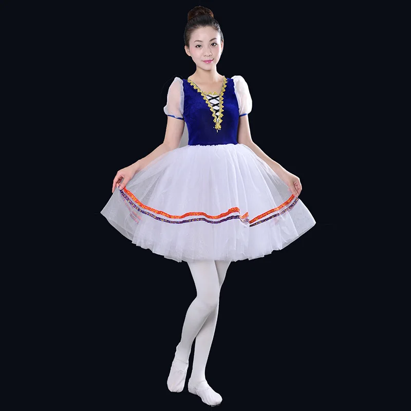 Adult Professional Tutu Ballet Costumes Blue Adult Swan Lake Dance