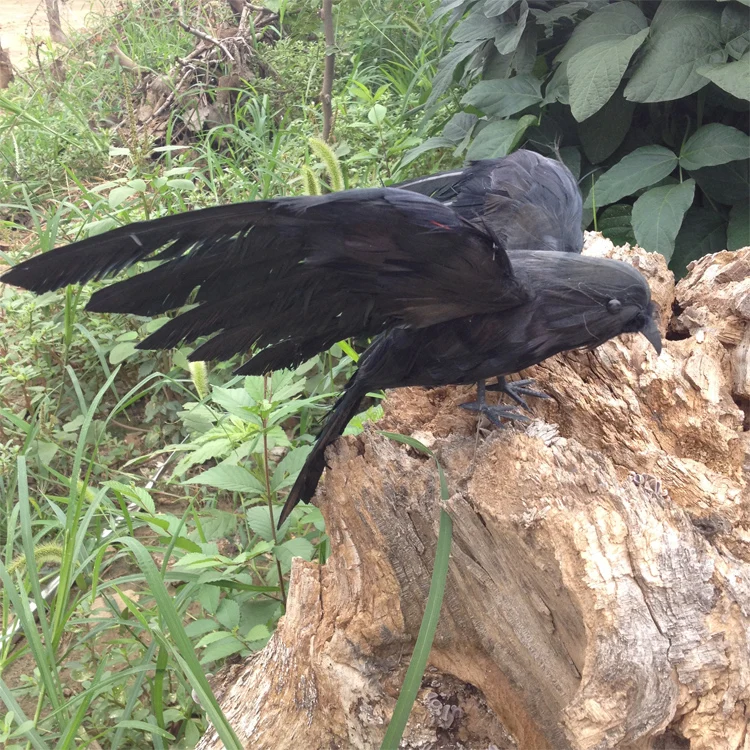 

small creative simulation wings crow model foam&furs black crow bird doll gift about 22cm 1798