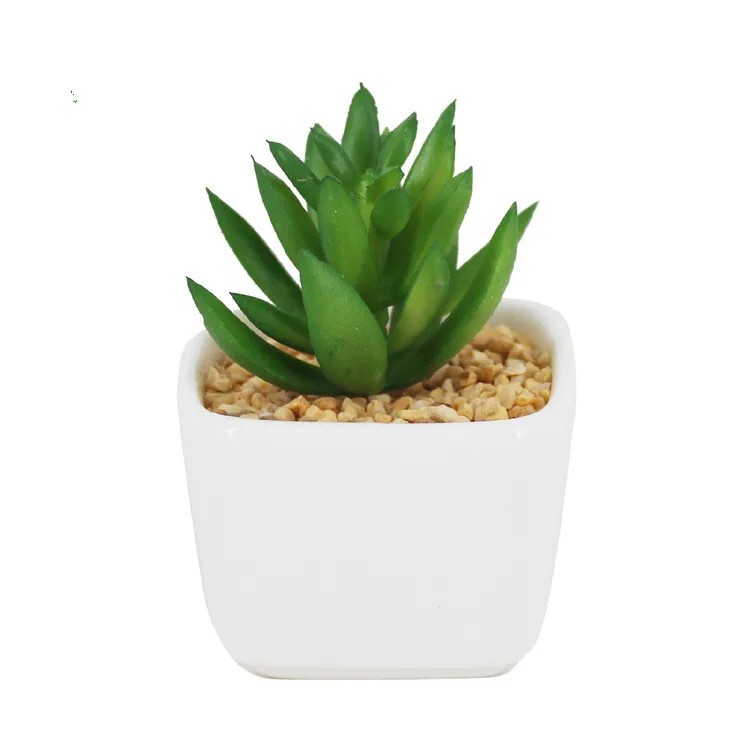 Искусственные суккуленты бонсай искусственное украшение|plants home decor|succulents
