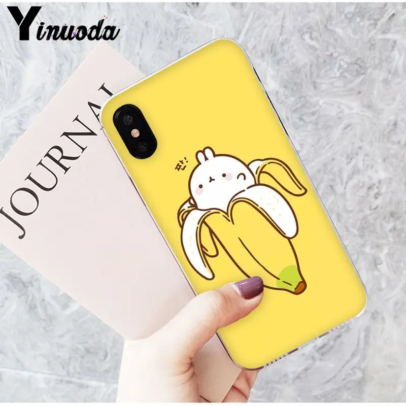 Cute and interesting fruit banana