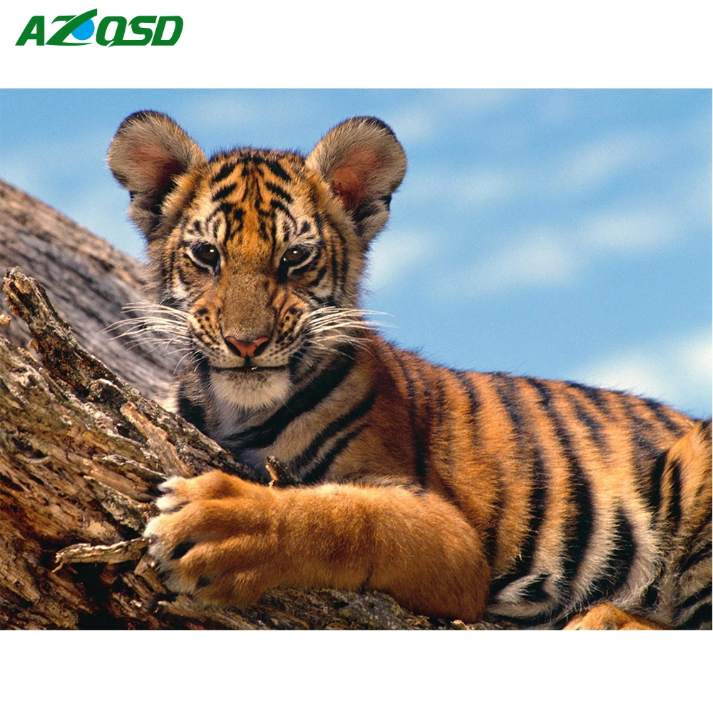 Смешная красота. Моя философия жизни проста. Тигрята фото. Я близко подхожу к ней. Подхожу ближе богиня.