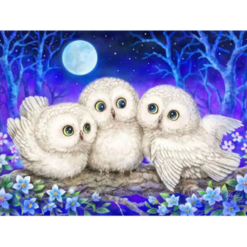 3かわいいフクロウフル5d Diyのダイヤモンド塗装白ふくろう動物針仕事ダイヤモンド刺繍クロスステッチ平方ラインストーン Diamond Painting Cross Stitch Aliexpress