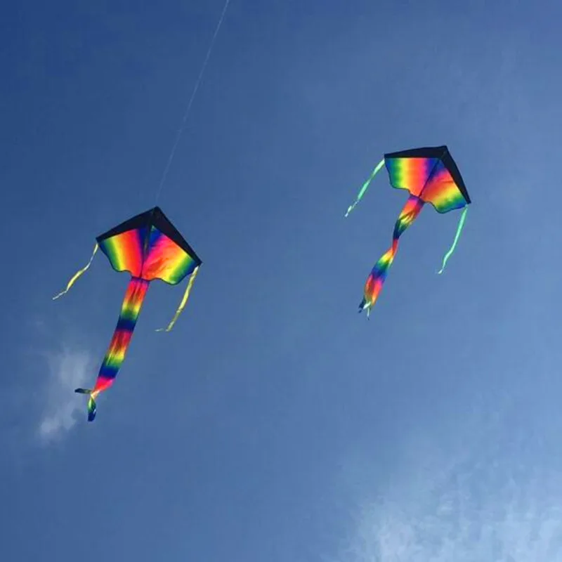 

Free shipping high quality 2m large rainbow delta kites children kites with handle line kite flying toys bird kite factory