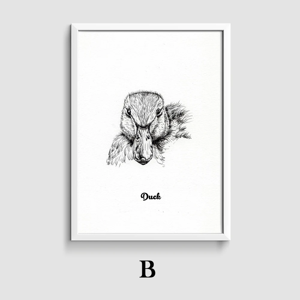 B