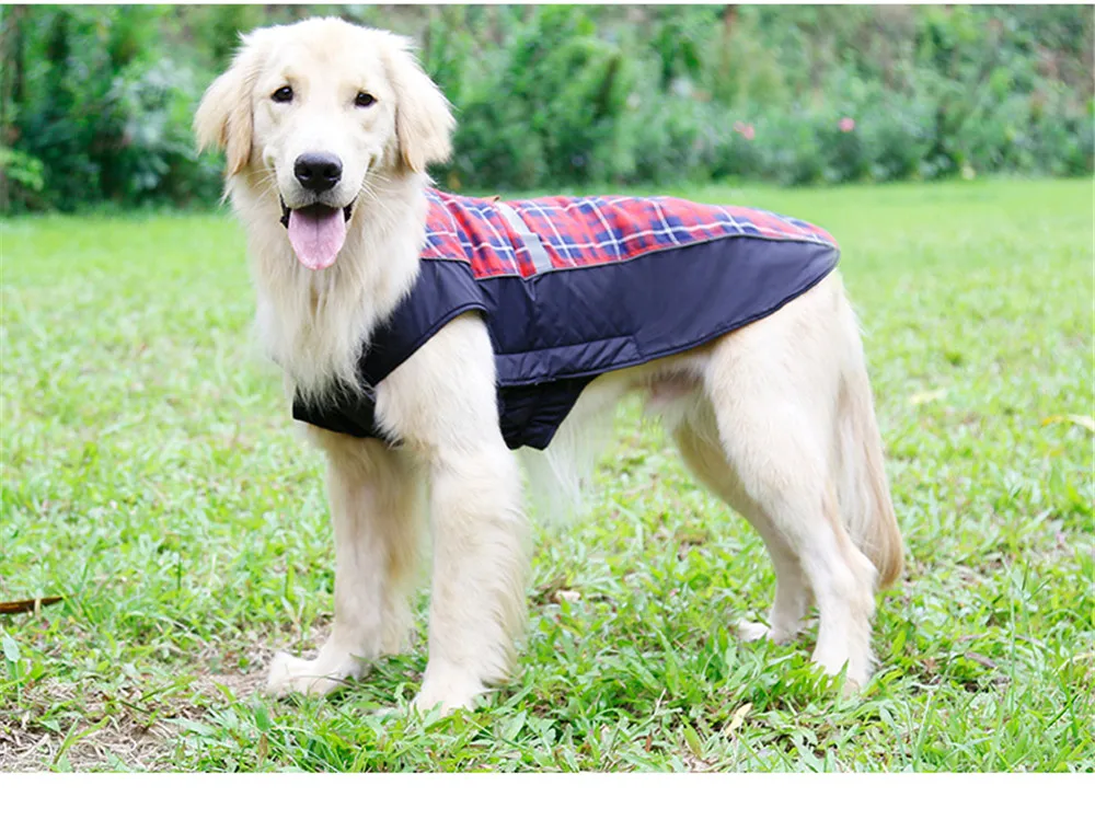 Dog Clothing (29)