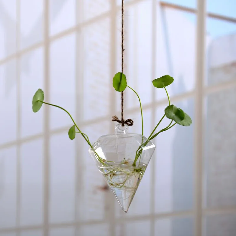 Домашний сад прозрачный стеклянный цветок висячая ваза плантатор Террариум контейнер Горячие висячие корзины