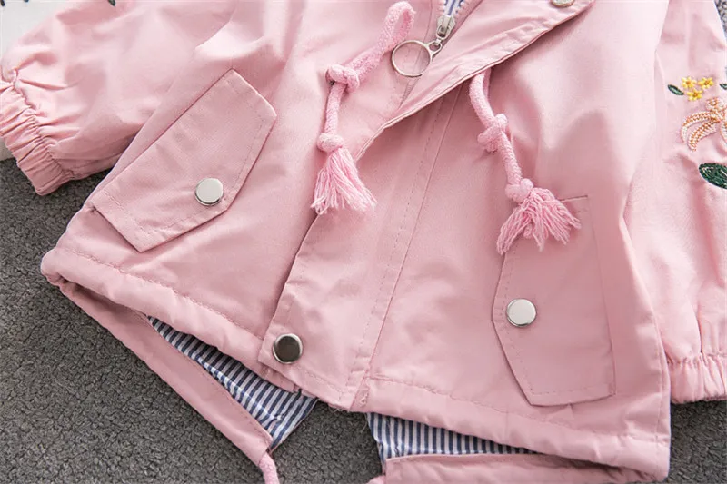 9084388366_346669714