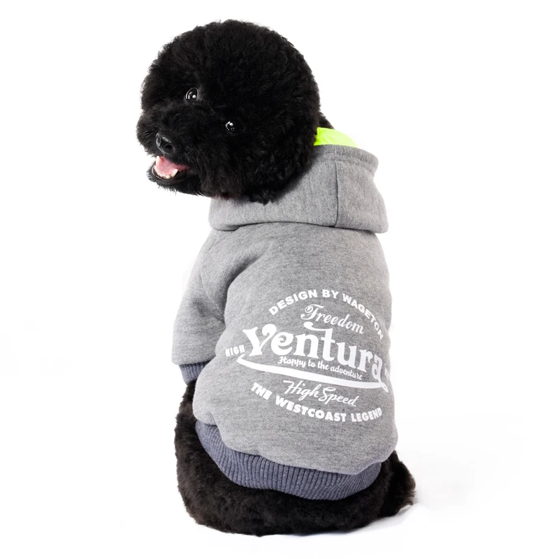 1 clothing for dog 