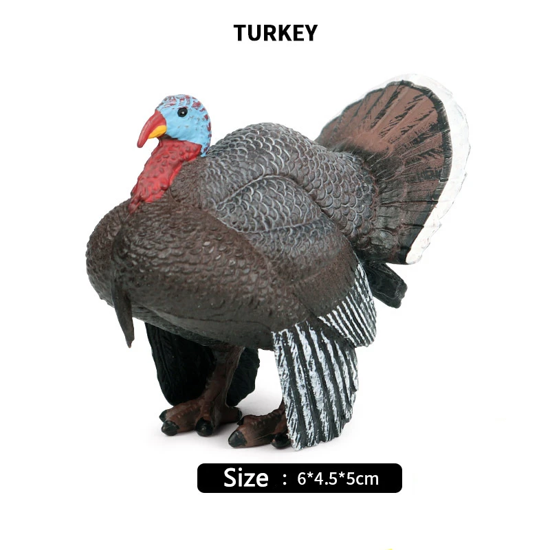 81+ Gambar Gambar Hewan Unggas Terbaru