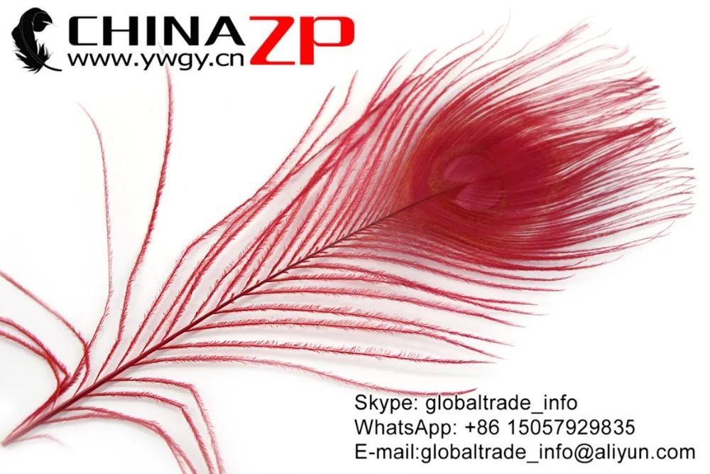 Red Peacock Feathers (5)