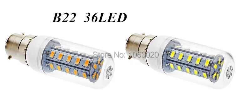B22 36LED.jpg