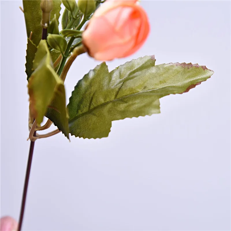 7 rose (5)