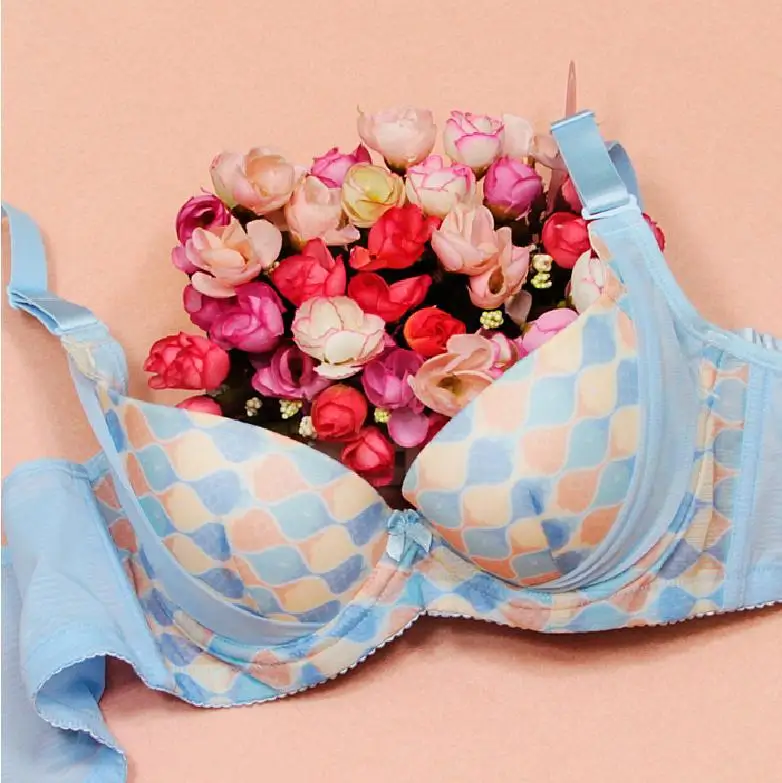 2016 Free shipping! Feichangzimei Teenage Girl Underwear